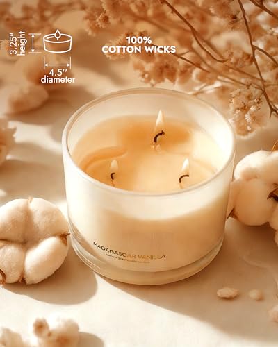 Luxury Vanilla Soy Candles (12 Ounce)