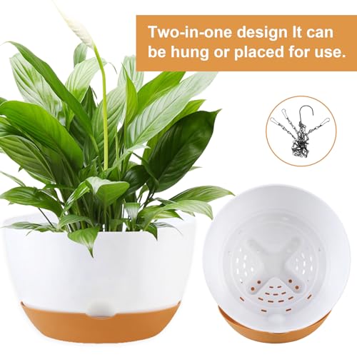 Hanging Planters (3 Count)
