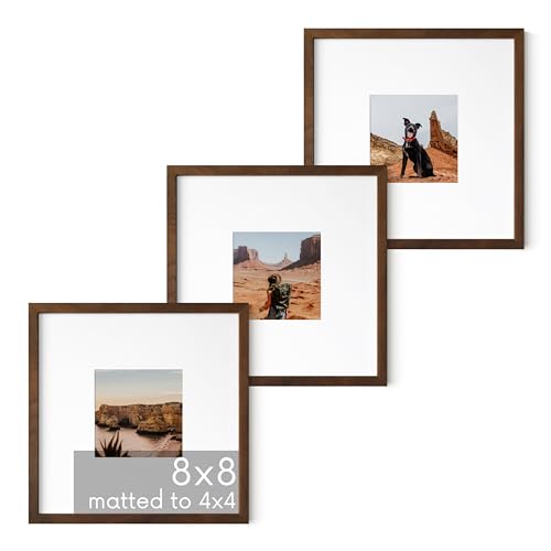 Walnut Square Frames 8" x 8" Matted to 4" x 4" (3 Count)