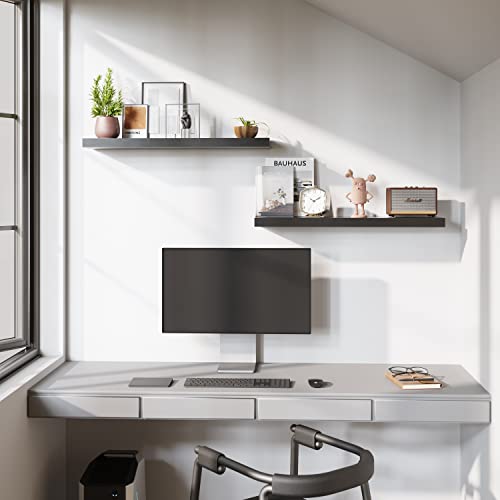 Floating Shelves (2 Count)