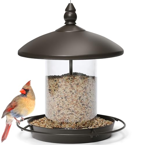 Metal Roof Bird Feeder