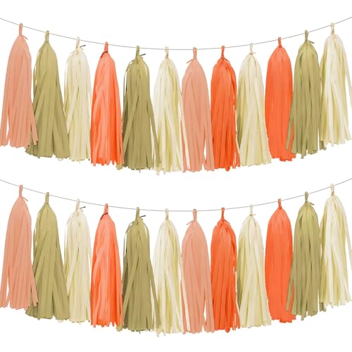 Tissue Paper Tassel Garland Banner (20 Count)