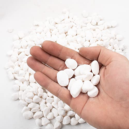 Black Pebbles for Plants 1.8lb Bulk Bag Aquarium Gravel 0.8" (28.8 Ounce)