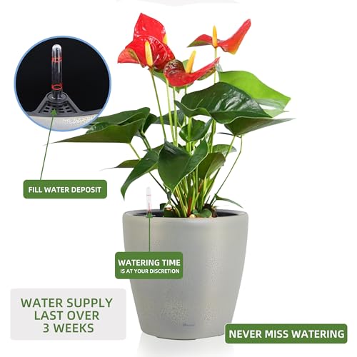 15x14 Self Watering Planter with Wheels