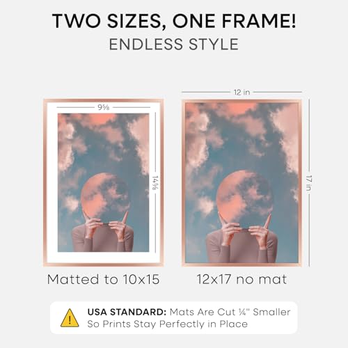 12x17 Rose Picture Frame