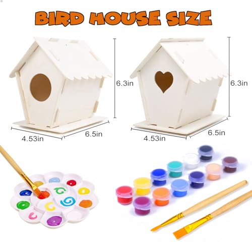 2 Pack Bird House Kits for Kids (2 Count)