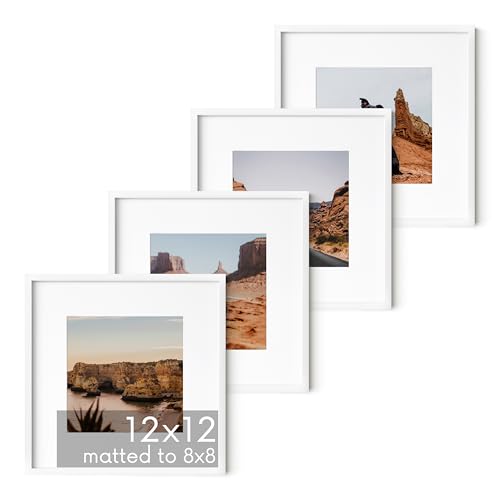 12x12 White Metal Picture Frames Matted to 8x8