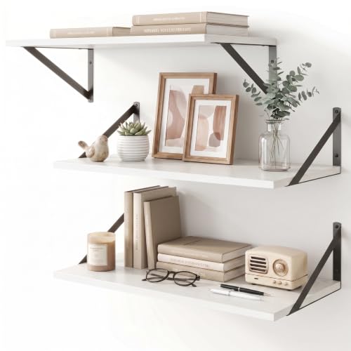 Black Floating Shelves 24 Inch Long