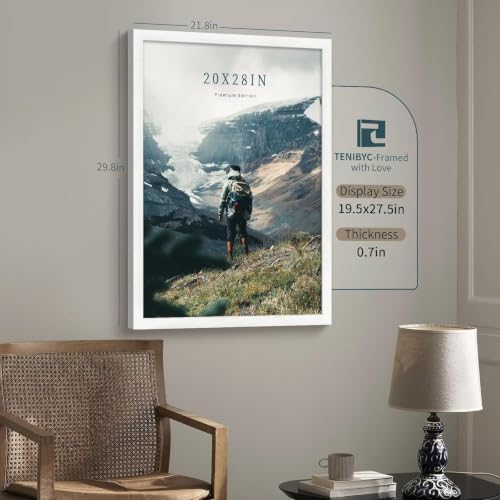 20x28 Picture Frame (3 Count)