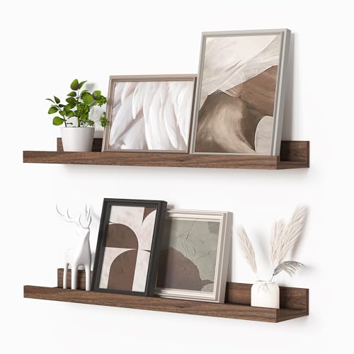 Picture Ledge Shelf (2 Count)