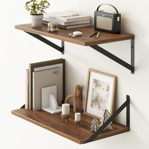 20 Inch Floating Shelves (2 Count)
