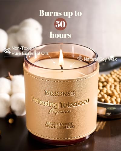 Cinnamon Tobacco Scented Soy Candle 10oz Leather Cover (10 Ounce)