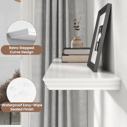 Floating Shelves for Wall (48 Ounce)