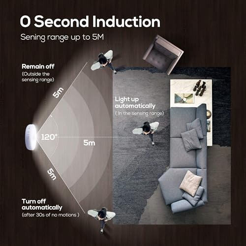 Rechargeable Puck Light with Remote