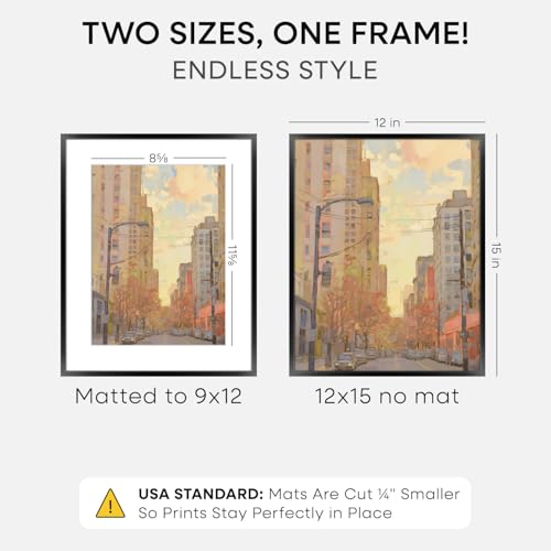 12x15 Black Picture Frame (2 Count)