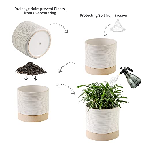 Ceramic Plant Pot