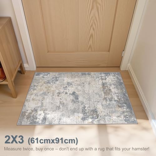2x3 Entryway Area Rug