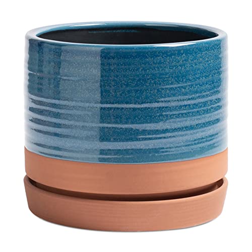 8 Inch Pots for Plants