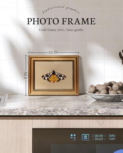 Vintage Gold Framed Wall Art for Living Room