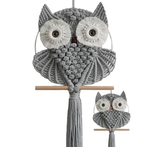 Owl Macrame Wall Hanging