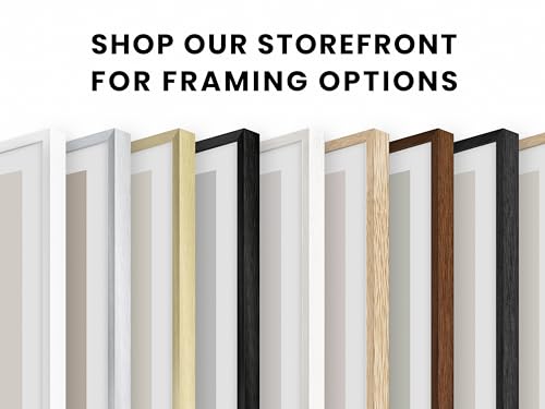18x24 Black Metal Picture Frames
