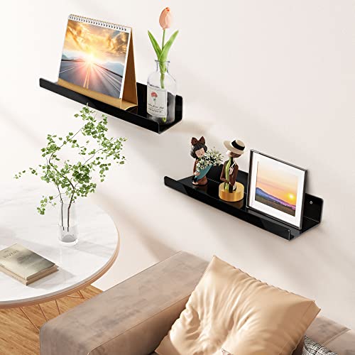 2 Pcs 15" Acrylic Shelves for Wall Organize and Display (2 Count)