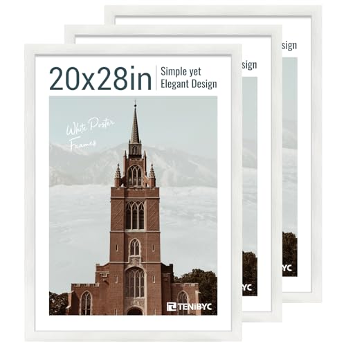 20x28 Picture Frame (3 Count)