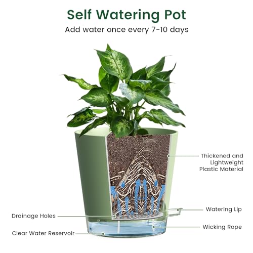 6 inch Self Watering Pots for Indoor Outdoor Plants (3 Count)