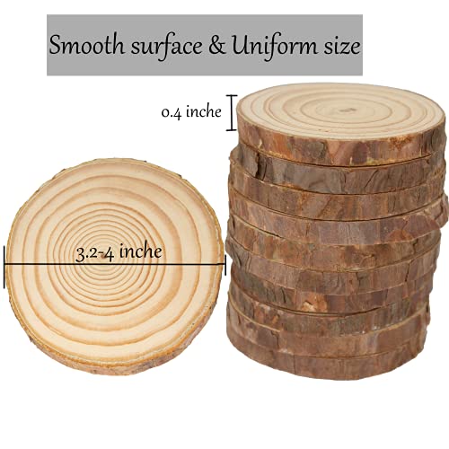 Unfinished Natural Wooden Slices 60 Pcs 3.2 (80 Count)