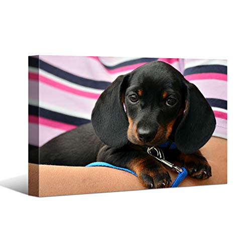 Custom Canvas Prints with Your Photos 30"x20"