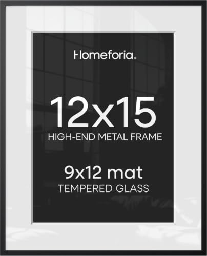 12x15 Black Picture Frame (2 Count)