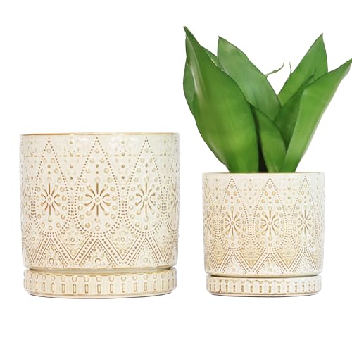 8 Inch + 6 Inch Indoor Plant Pot with Drainage Holes and Saucers (2 Count)