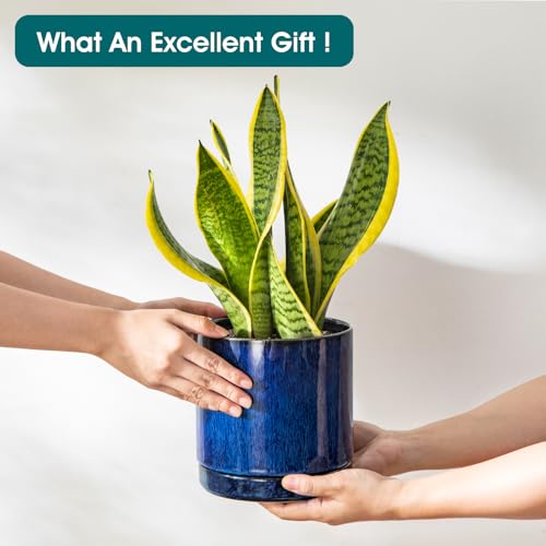 Ceramic Planters (3 Count)