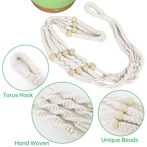 2 Pack 10 Inch Hanging Planters with Macrame Plant Hanger for Indoor and Outdoor Plants (72 Count)