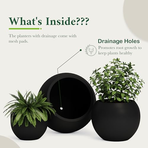 Premium Mt Sherman Fiberstone Sphere Planter for Indoor Outdoor Use