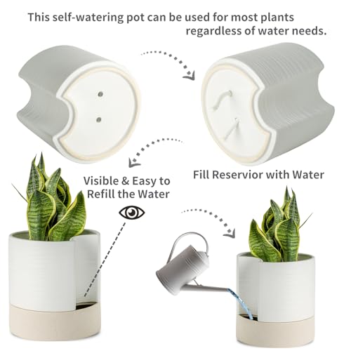 Ceramic Self Watering Plant Pot for Indoor Plants
