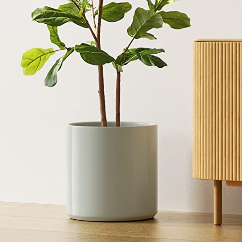 12 Inch Pot for Plants