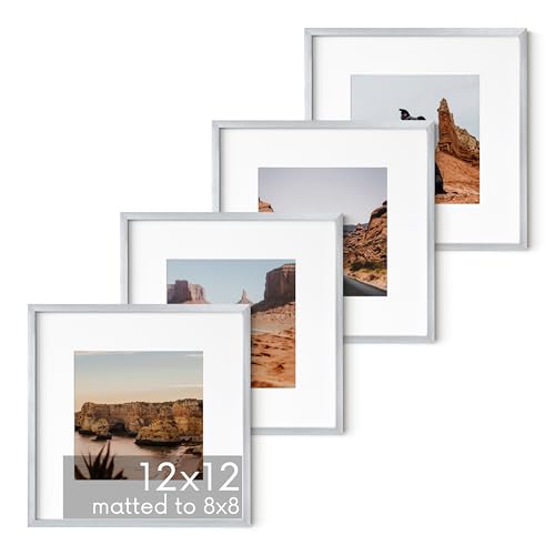 12x12 Silver Metal Picture Frames Matted to 8x8