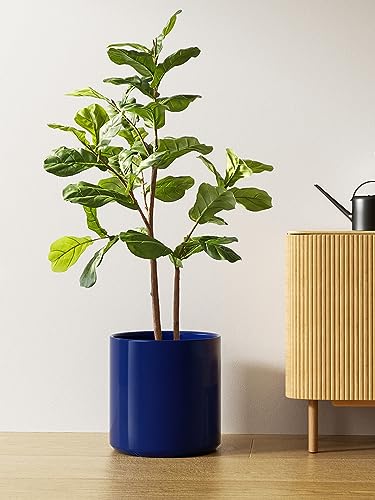 12 Inch Pot for Plants