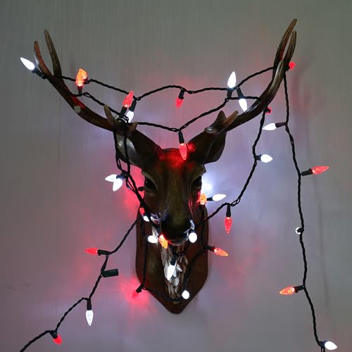 C5 Christmas Lights Outdoor (33 Foot)