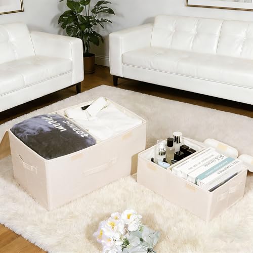 2 Pack Storage Boxes with Lids and Handles (2 Count)