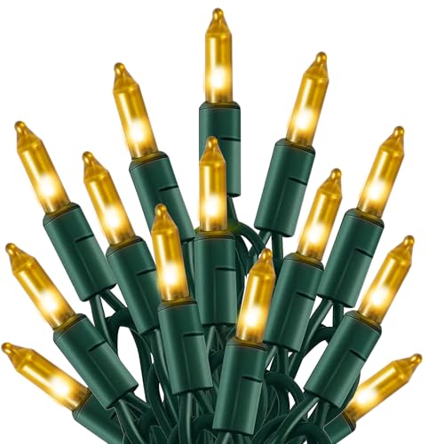 Christmas Lights (21 Foot)