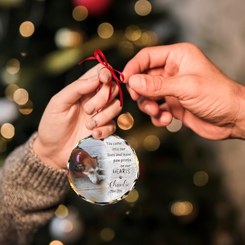 Personalized Memorial Pet Glass Ornament