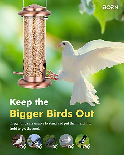 Bird Feeders for Outdoor 9" 2 Port Chew