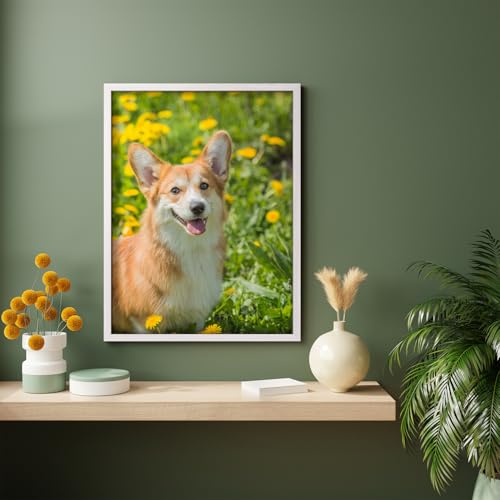 Custom Framed Poster Prints with Your Any Photos