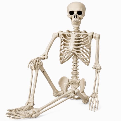 36" Halloween Skeleton