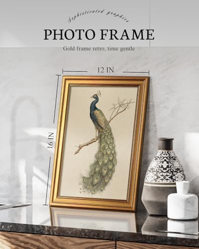 Vintage Gold Framed Wall Art