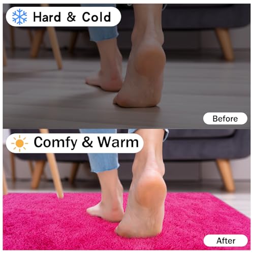 Soft Fluffy Rug for Living Room Bedroom