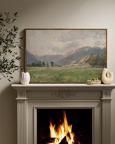 Framed Canvas Wall Art Vintage Decor