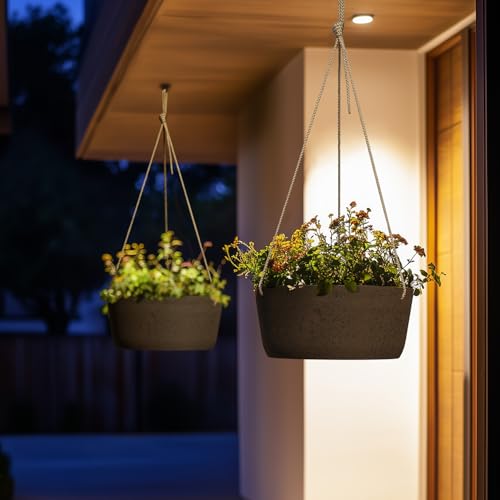 Large Hanging Planters for Outdoor Plants (2 Count)